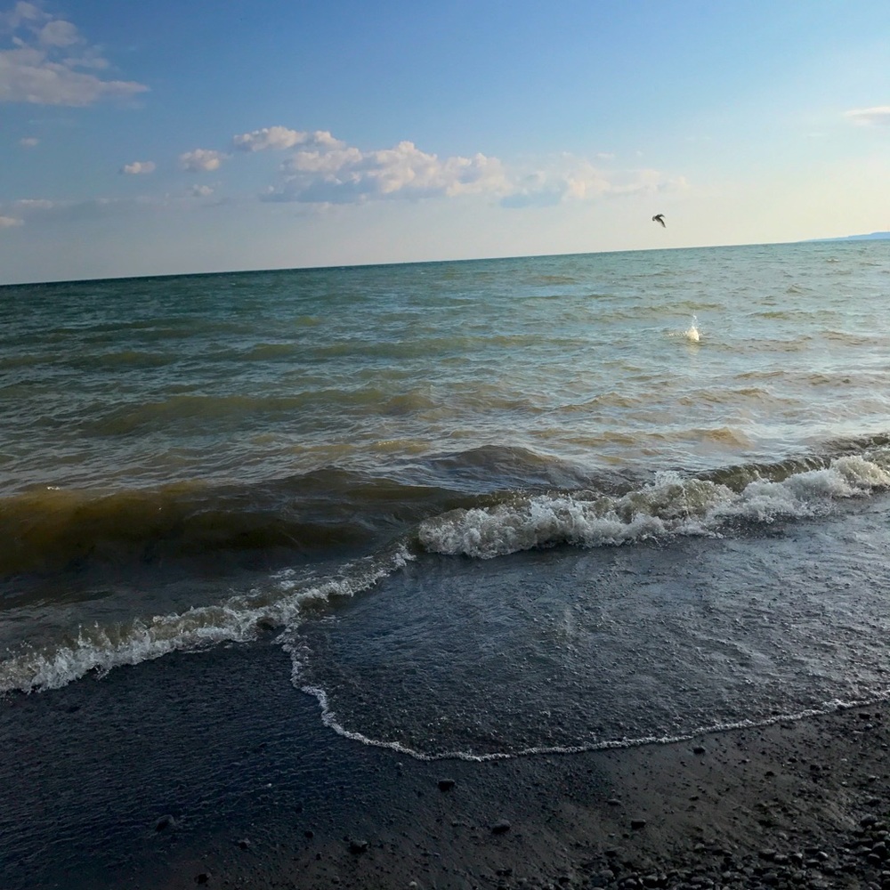 Meet your Posher, Nadine